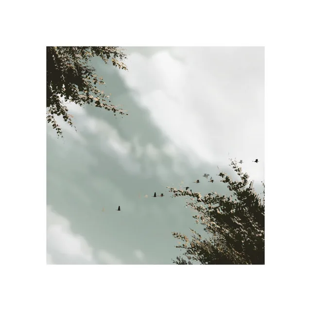 blank sky